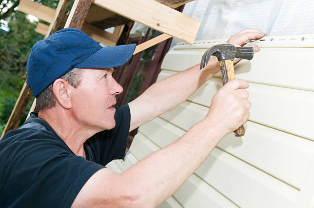 Best Steel Siding Installation  in Warrington, FL